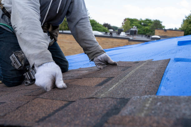 Professional Roofing Contractor in Corinth, TX